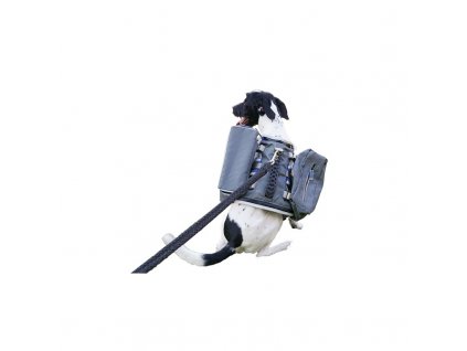 HARNESS WITH BACKPACK 2IN1