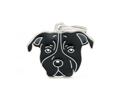 BLACK AMERICAN STAFFORDSHIRE TERRIER