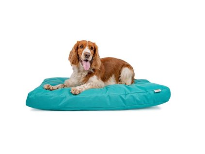 Buffy turquoise nylon mattress with zipper 90x60x10