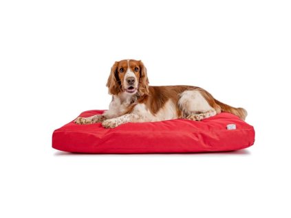 Buffy nylon mattress red with zipper 90x60x10