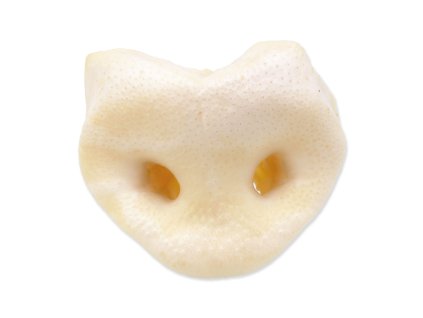 White pork snout 50pcs