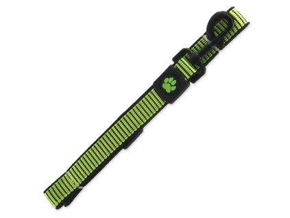Leash Active Dog Strong L lime 2.5x120cm