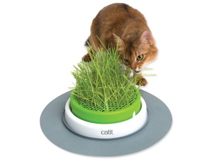 Trawnik Catit 2.0