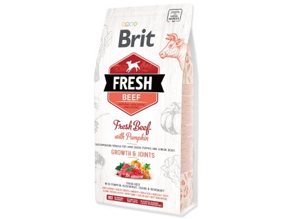 Feed Brit Fresh Beef with Pumpkin Puppy Large 2.5 kg