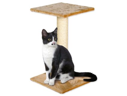Magic Cat Beata beige 31x31x39cm resting place