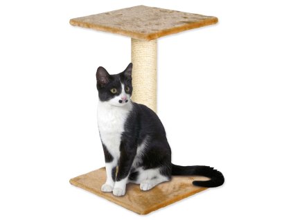 Ruheplatz Magic Cat Beata beige 38x38x60cm