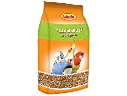 Millet Avicentra yellow 500g