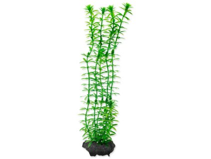 Decorat Tetra Plant Anacharis M 23cm