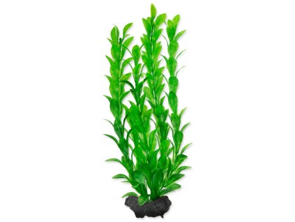Dekoration Tetra Pflanze Hygrophila M 23cm