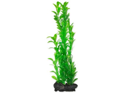Dekoration Tetra Pflanze Hygrophila L 30cm