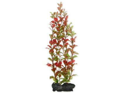 Dekoráció Tetra Plant Red Ludwigia L 30cm