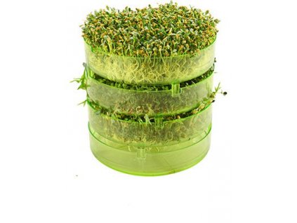 Vase pentru germinare 3 bucăți  + Při koupi 12 a více kusů 3% Sleva