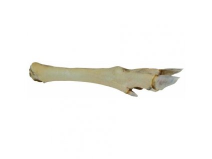 White venison leg - 1 pc.