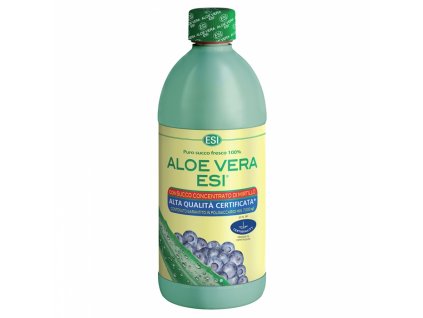 Aloe Vera borůvka 94% 1l ESI