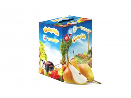 Apfel- und Birnenmost - Fruchtsaft 3L