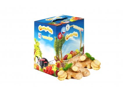 Apfel-Ingwer-Apfelwein - Fruchtsaft 5L