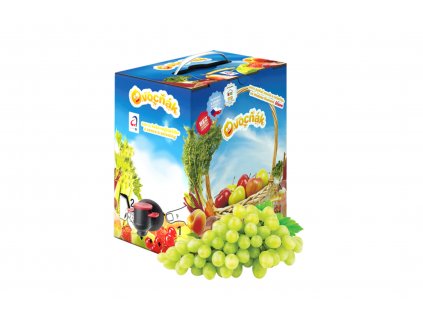 Apfel- und Weißtraubenmost - Fruchtsaft 3L