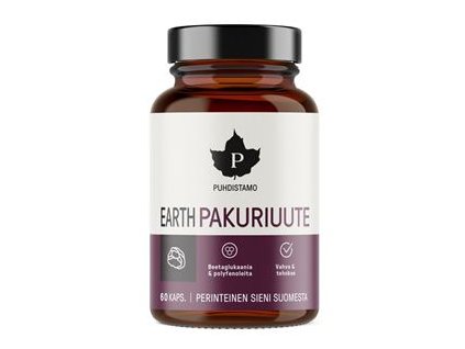 Earth Chaga BIO 60 kapslí (Pakuriuute)