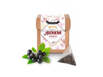 Früchtetee Aronia Boost 12 x 4 g FRUIT TREE