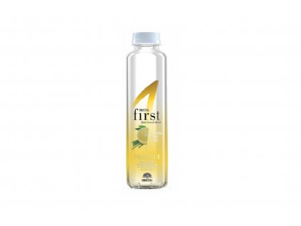 Funkční voda Protect citron&citronová tráva - Fructal 500ml