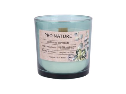 44955 muller kerzen svicka eukalyptus mata 100 100mm