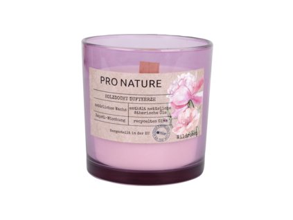 Müller Kerzen Candle wild rose 100/100mm