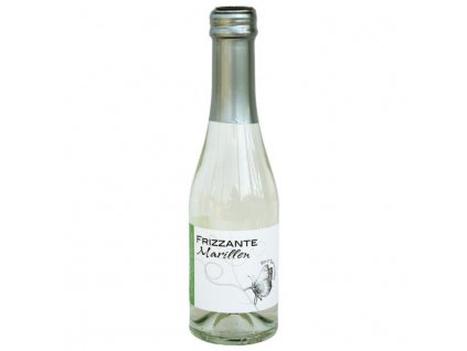 Rittsteur Meruňkové Frizzante 200ml