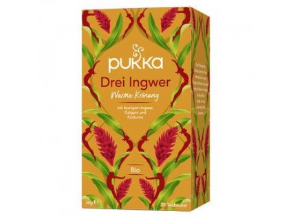 Pukka tea 3 gyömbér 36g bio
