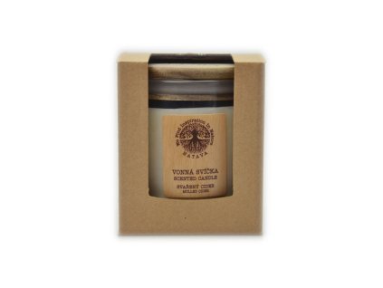 Vonná sójová sviečka - Zvarený cider - Natava 220g