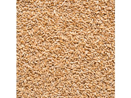 Weizen Dinkel 5 kg BIO COUNTRY LIFE