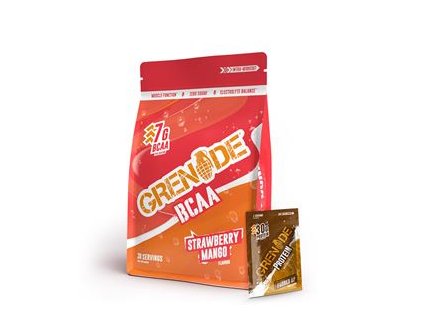 1.GRE BCAA 390g strawberry mango and sample protein fudge UP 19076