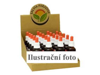 CZ BOX Rhodiola AF tincture 20 x 50 ml