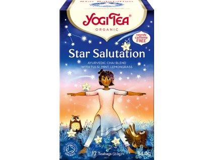 Čaj Pozdrav hvězdám 17 sáčků 32,3 g BIO YOGI TEA