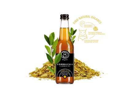 Kombucha with probiotics YERBA MATÉ - BALA 21 330ml