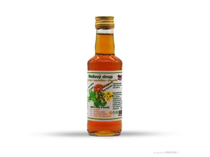 Honey syrup ginkgo, lemon balm and St. John's wort 280g HEALTHY AGE