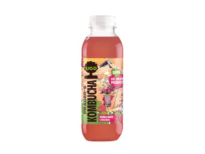 Kombucha Yerba Mate mit Himbeere 500 ml UGO