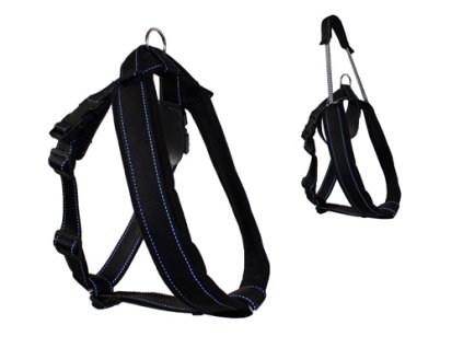 SPORTS HARNESS