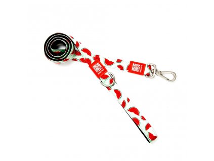 LEASH SCURT MAX MOLLY