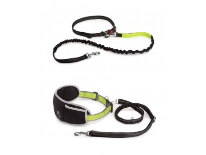 BELT WITH ELASTIC LEASH