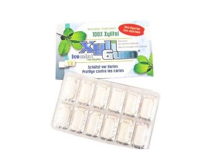XyliGum Žuvačkyicemint 16,8 g