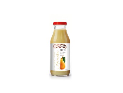 Apfel-Birnen-Cider - Fruchtsaft 330ml