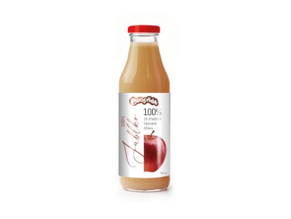 APFEL 100% Apfelwein - Fruchtsaft 750ml