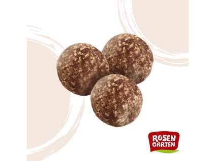 Rosengarten Fruit balls with cocoa and guarana 40 g organic