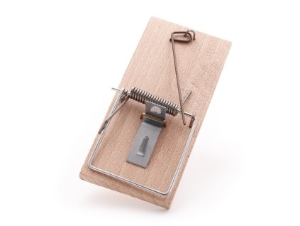Mousetrap, beech