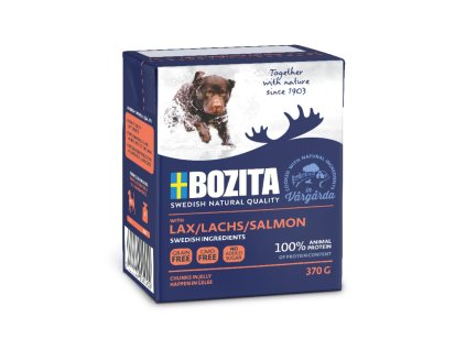 Bozita Dog pieces in jelly with salmon 370 g