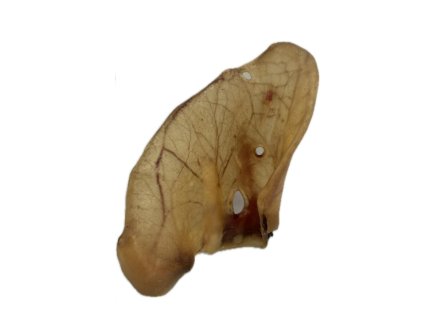 Dried pork ear Maxi SOLD BY PACKAGE (50 pcs)
