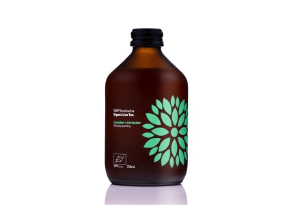 Vigo BIO Kombucha Gurke und Koriander 330ml