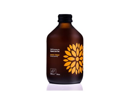 Vigo BIO Kombucha Acerola + Ingwer 330ml