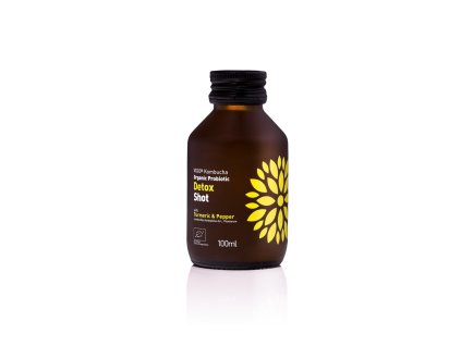 Vigo BIO kombucha SHOT Detox 100ml