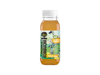Kombucha zelený čaj s citrónem a zázvorem 250 ml UGO